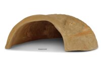 Igloo Cave Snail Shell Iris