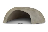 Igloo Cave Snail Shell Iris
