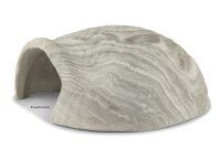 Igloo Cave Snail Shell Iris