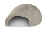 Igloo Cave Snail Shell Iris