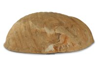 Igloo Cave Snail Shell Iris