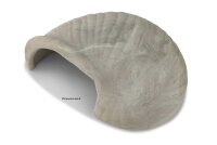 Igloo Cave Snail Shell Iris