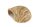 Igloo Cave Snail Shell Iris