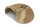 Igloo Cave Snail Shell Iris