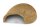 Igloo Cave Snail Shell Iris