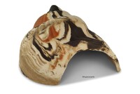 Igloo Cave Snail Shell with Top