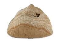 Igloo Cave Snail Shell with Top