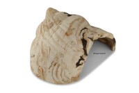 Igloo Cave Snail Shell with Top