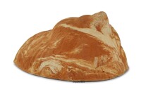 Igloo Cave Snail Shell with Top