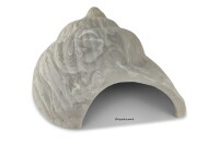 Igloo Cave Snail Shell with Top