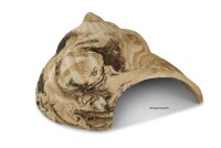 Igloo Cave Snail Shell with Top