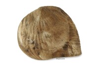 Igloo Cave Snail Shell with Top