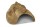 Igloo Cave Snail Shell with Top