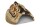 Igloo Cave Snail Shell with Top