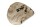Igloo Cave Snail Shell with Top