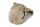 Igloo Cave Snail Shell with Top