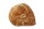 Igloo Cave Snail Shell with Top