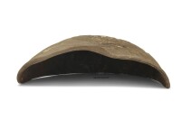 Igloo cave made of clay Snail shell Phoenix