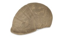 Igloo cave made of clay Snail shell Phoenix