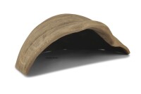 Igloo cave made of clay Snail shell Phoenix