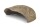 Igloo cave made of clay Snail shell Phoenix