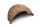 Igloo cave made of clay Snail shell Phoenix