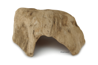 Small stone cave ,Abigail