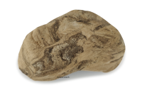 Small stone cave ,Emily from clay