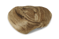 Small stone cave ,Emily from clay