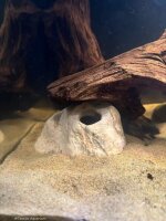 Small stone igloo Igloo cave for dwarf cichlids
