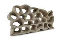 Hole Rock Juvenile Fish Rock Shrimp Rock Clay Large