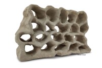 Hole Rock Juvenile Fish Rock Shrimp Rock Clay Large