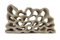 Hole Rock Juvenile Fish Rock Shrimp Rock Clay Large