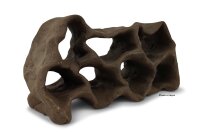 Hole Rock Juvenile Fish Rock Shrimp Rock Clay Small