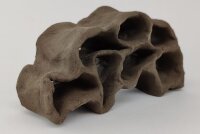 Hole Rock Juvenile Fish Rock Shrimp Rock Clay Small