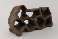 Hole Rock Juvenile Fish Rock Shrimp Rock Clay Small