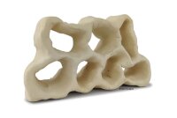 Hole Rock Juvenile Fish Rock Shrimp Rock Clay Small