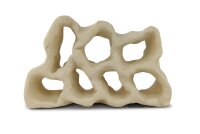 Hole Rock Juvenile Fish Rock Shrimp Rock Clay Small