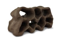 Hole Rock Juvenile Fish Rock Shrimp Rock Clay Small