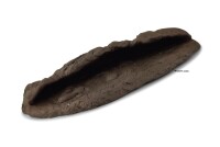 Rio Xingu crevice cave for crevice catfish