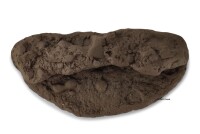 Rio Xingu crevice cave for crevice catfish