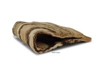 Crevice Cave for L Catfish Calvus-shape closed
