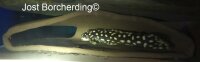 Crevice cave for L catfish L034, L082, L168
