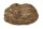 Stone cave ,Robin made of clay Entrance suitable for axolotl