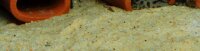 L-catfish cave - spawning cave conic