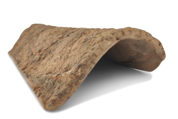 AquaKeramik medium clay tunnel for axolotl cave 23-25 cm...