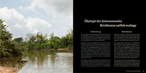 Bristlenose Catfishes: The Plecos of the Genus Ancistrus