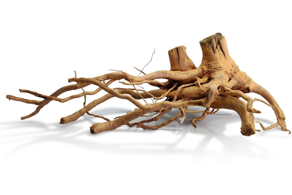 SpiderwoodKategoriebild-1.jpg
