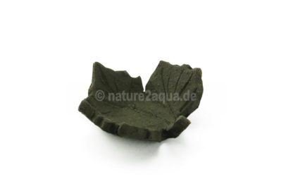 Futterschale aus Ton für Aquarium Ahornblatt – Bild 4