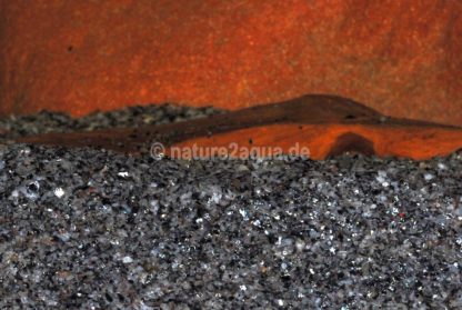 Granoflour® aquarium sand grey - Image 4